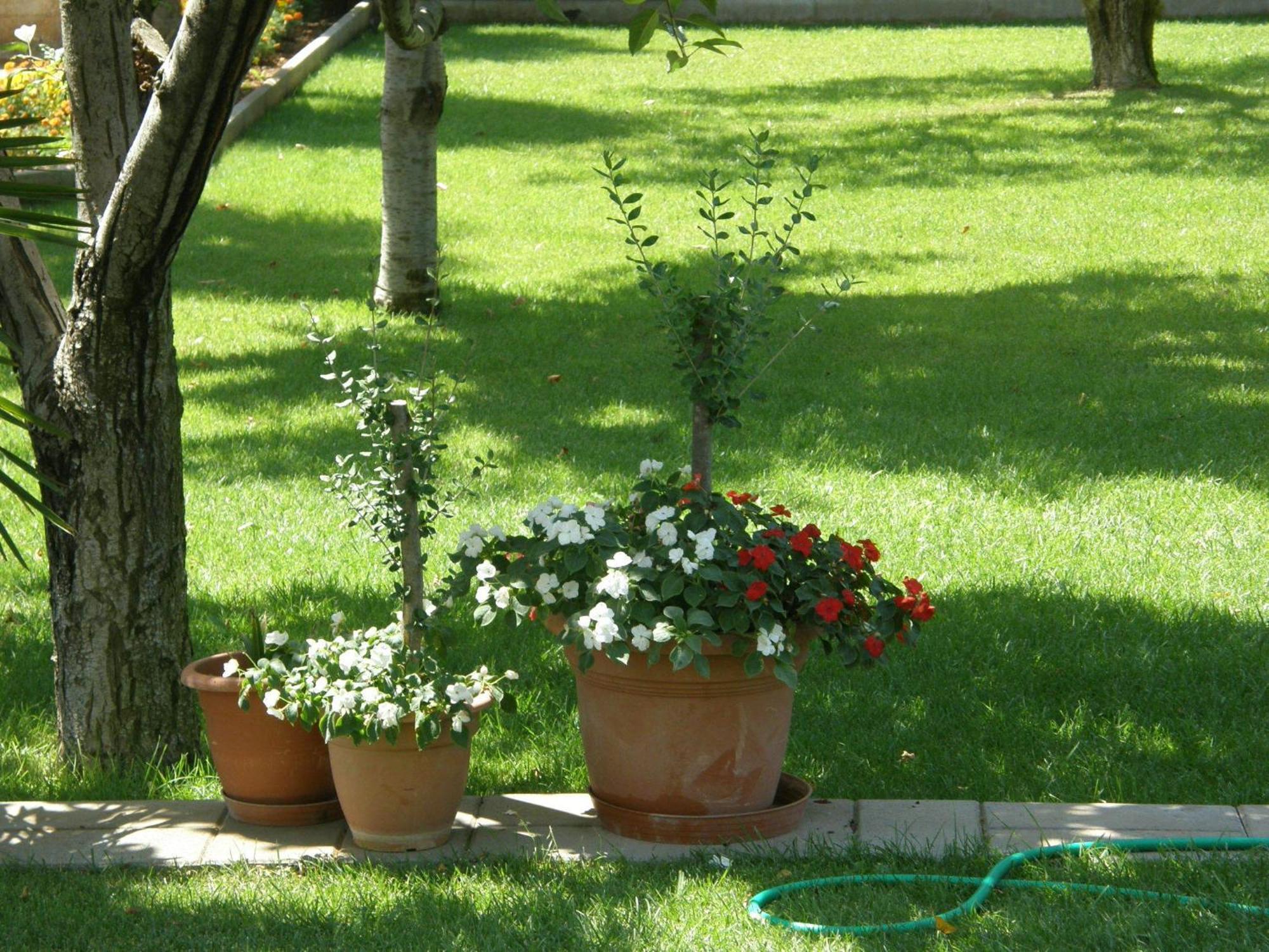 Villa Slavica 1 ヴォディツェ エクステリア 写真