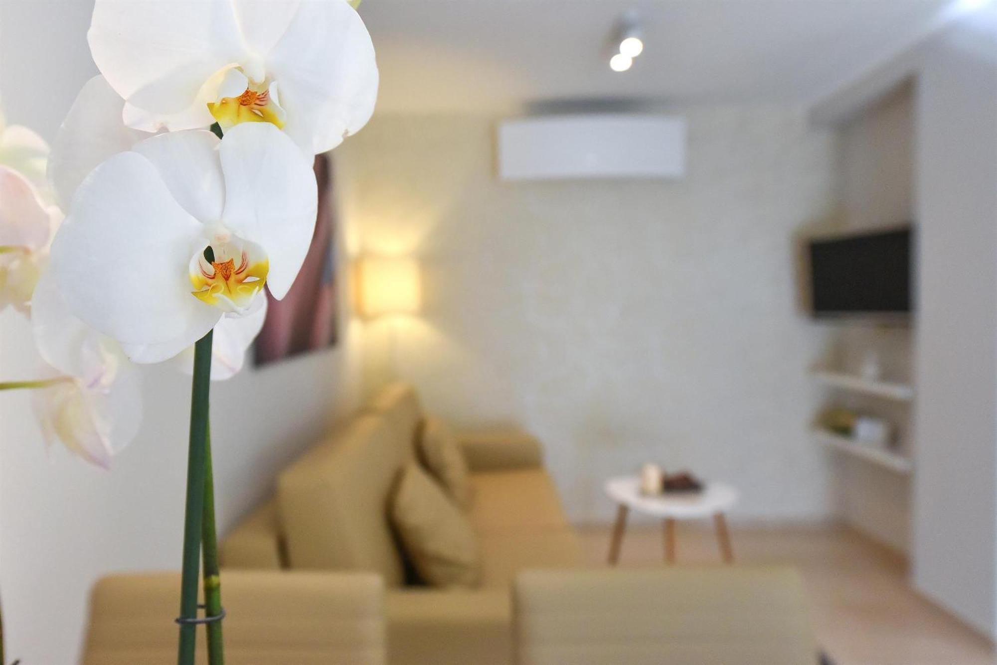 Villa Slavica 1 ヴォディツェ 部屋 写真