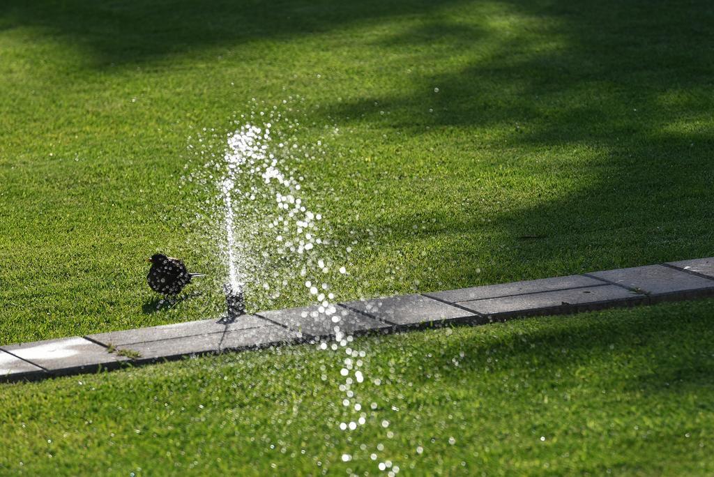 Villa Slavica 1 ヴォディツェ エクステリア 写真