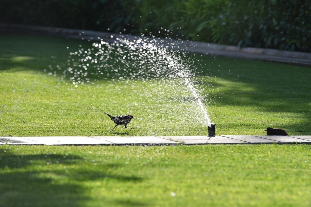 Villa Slavica 1 ヴォディツェ エクステリア 写真