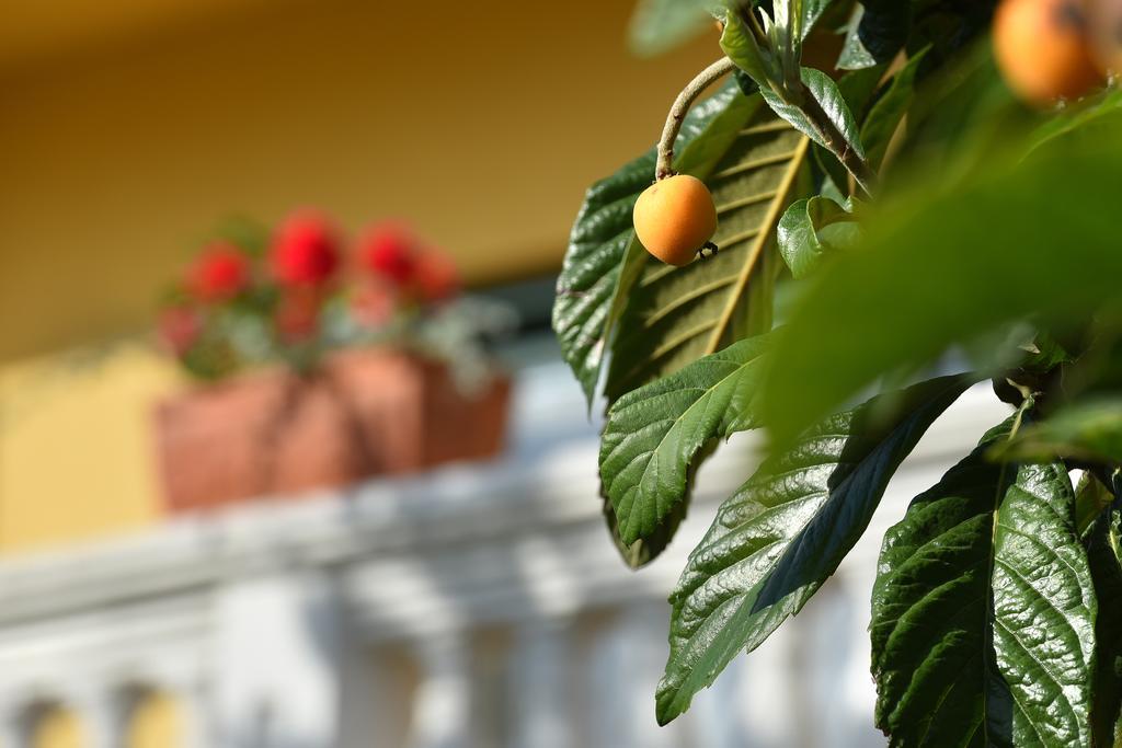Villa Slavica 1 ヴォディツェ エクステリア 写真
